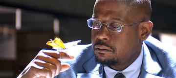 airibreathe airibreathe