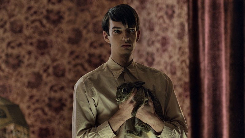 THE POWER OF THE DOG